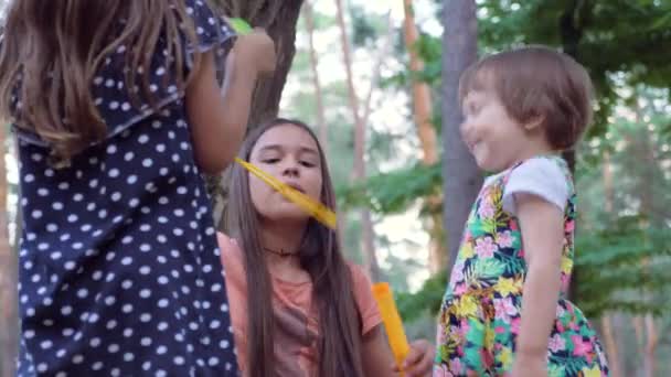 Tři Krásné Dívky Různého Věku Hrát Mýdlové Bubliny Venku Šťastní — Stock video