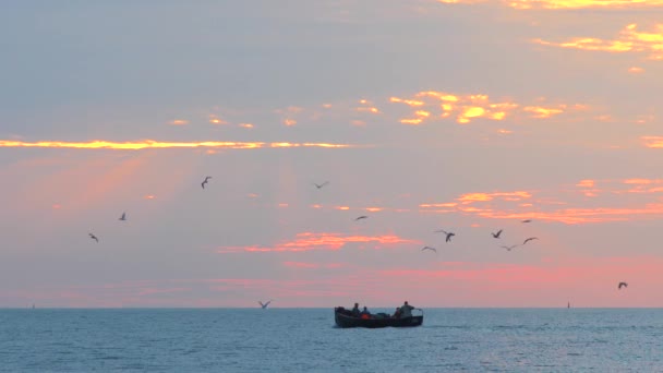 Barco Pesca Pôr Sol Mar Gaivotas Voando Sobre Barco Pesca — Vídeo de Stock