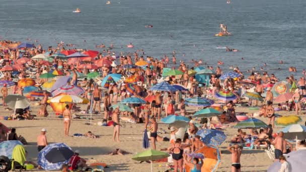 海滩上到处都是泳客带着遮阳伞的海滩海洋,太阳,海滩,休息,度假的概念.去欧洲旅行。旺季海滩上人山人海.旅游背景。很多人都在海滨 — 图库视频影像