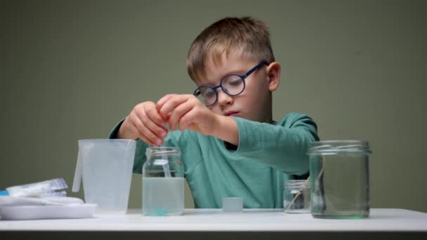 Home schooling concept. First school day. Young boy doing his school homework. Pupil doing school homework. Conduct an experiment concept. Successful young boy. Successful pupil. Studying indoor — Stock Video