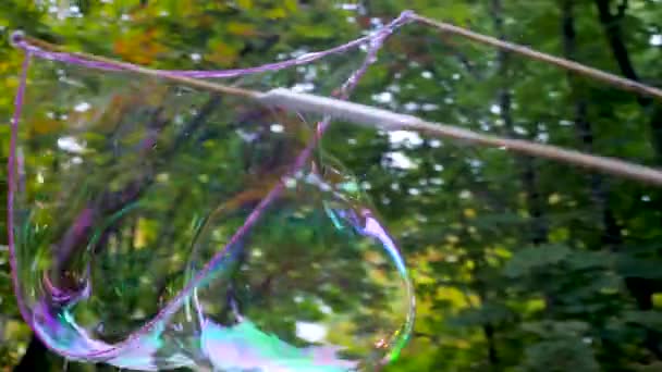 Большой мыльный пузырь летит рядом с деревьями в солнечный день. Выдувая прекрасный мыльный пузырь и лопаясь. Мыльные пузыри показывают. Плавающий мыльный пузырь в медленном движении на фоне парка — стоковое видео