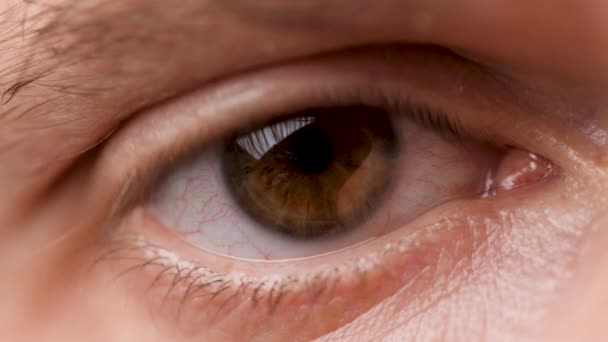 Mans braune Augen blicken in die Kamera. Männliche Augen blinzeln. Konzentrierter Mann, der auf etwas starrt. Makro aus nächster Nähe. Männliche Haselaugen. Mann das halbe Gesicht. Kerl konzentriert — Stockvideo