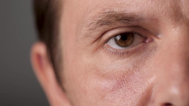 갈색 눈은 카메라를 들여다보고 있다. 눈에는 눈이 없다. 사람들은 무언가에 관심을 가지고 있다. 닫아. 남성용 아이볼. 코카서스 남성의 얼굴 반쪽. 범인은 간접적으로 보인다. 천연의 아름다움. 30-40 년 — 비디오