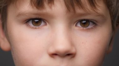 Kafkas Çocuk 'un son derece detaylı portresi. Güzel çocuk kameraya bakıyor. Yakından Kahverengi Gözlü Çocuklar. Çocuklar Odaklanmış Bak. Çocuk Duyguları 'ndan. Doğal Güzellik. Küçük şirin bir çocuğun portresi.