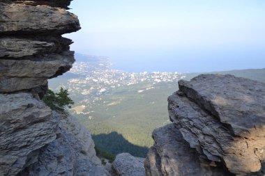 Fotoğraf Nilüferler, Doğa, nehir, park