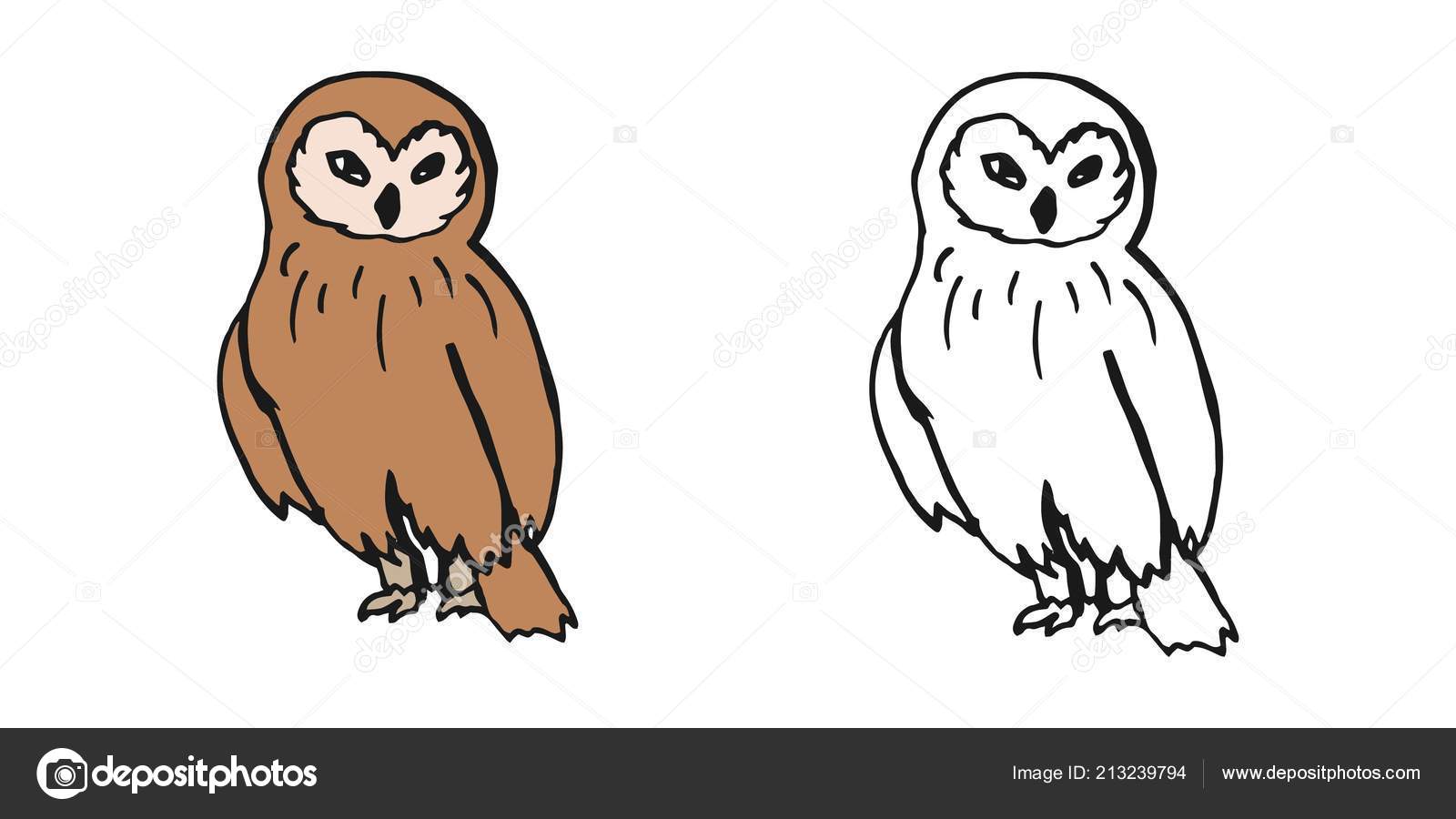 Owl Black And White Clip Art Owl Vector Illustration Black White