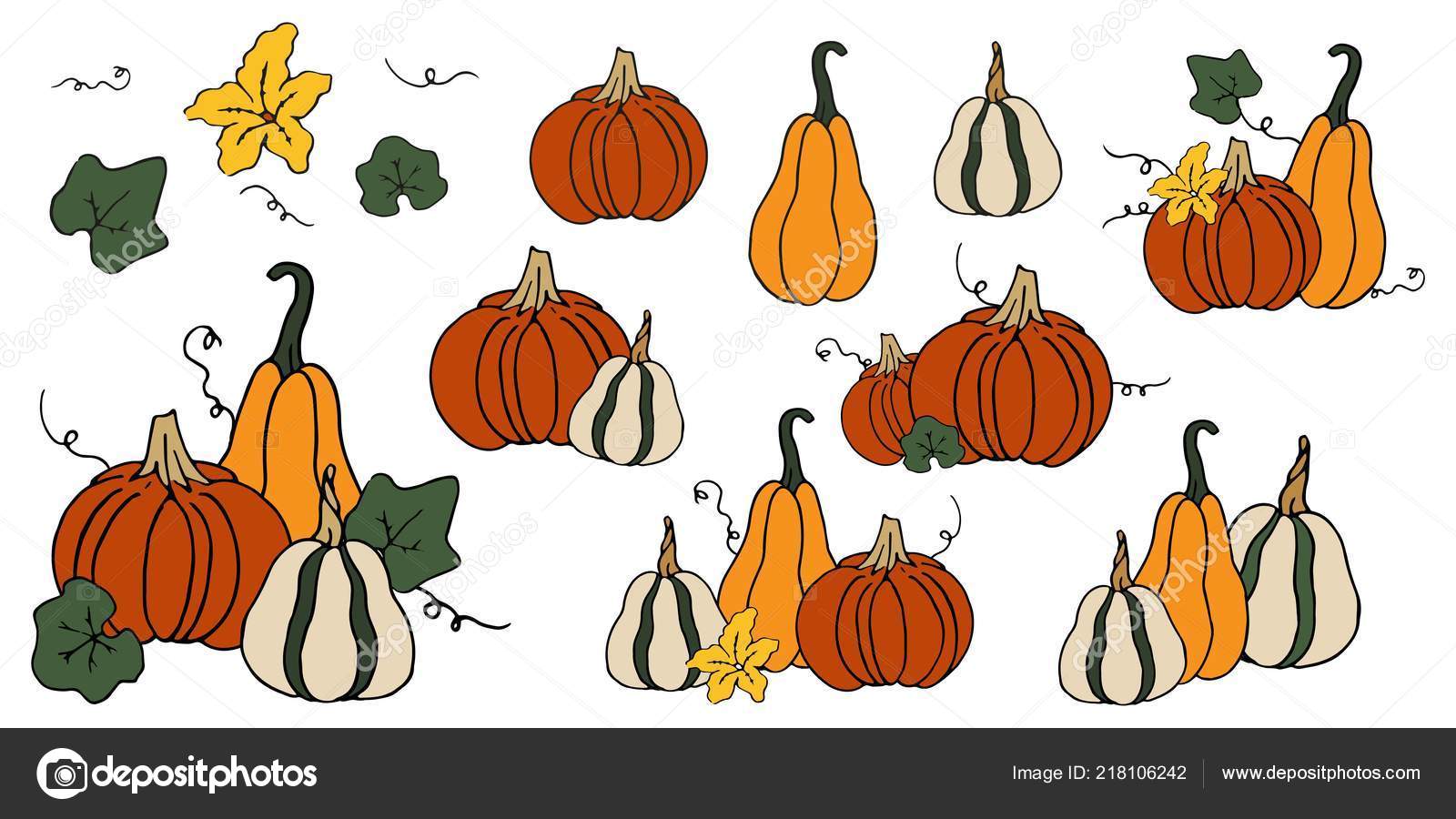 Colorful Cartoon Contour Set Pumpkins Flower Leaves Templates Collection Squash Stock Vector Image by © #218106242 Colorful Cartoon Contour Set Pumpkins Flower Leaves Templates Collection Squash Stock Vector Image by © #218106242