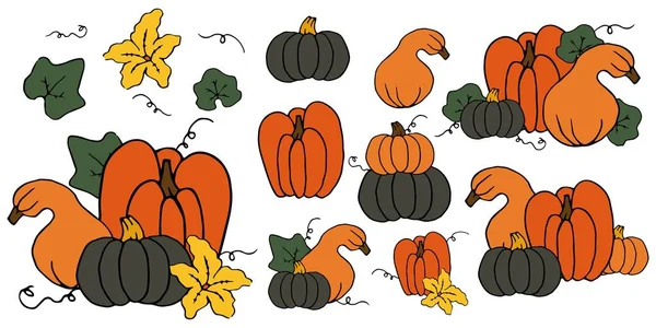 カラフルな漫画カボチャの花と葉の輪郭を設定します スカッシュ 収穫感謝祭 ハロウィン手描き白で隔離瓢箪のテンプレート コレクション — ストックベクタ