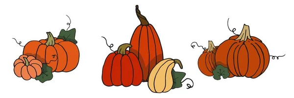 Jeu de contour de dessin animé coloré de citrouilles avec des fleurs et des feuilles. Modèles collection de courges et de gourdes pour la récolte, le jour de l'Action de grâce et halloween dessinée à la main isolée sur blanc — Image vectorielle