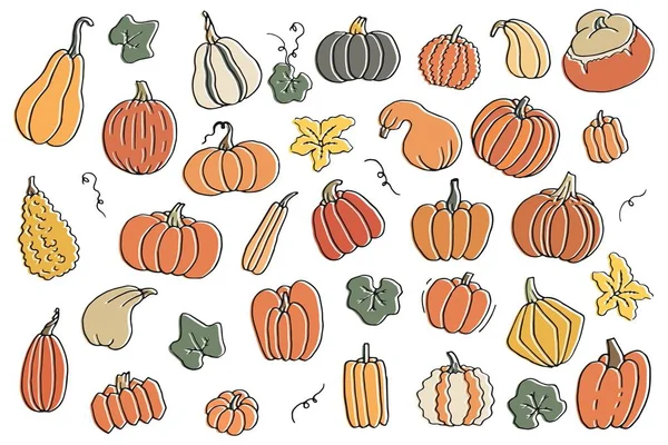 Colorful cartoon contour set of pumpkins with flower and leaves. Templates collection of squash and gourd for harvest, thanksgiving day and halloween hand drawn isolated on white — Stock Vector