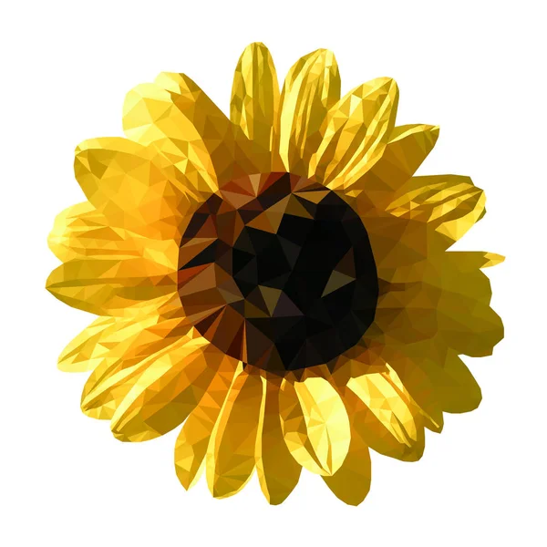 Vector sunflower, low poly style. — Stock Vector