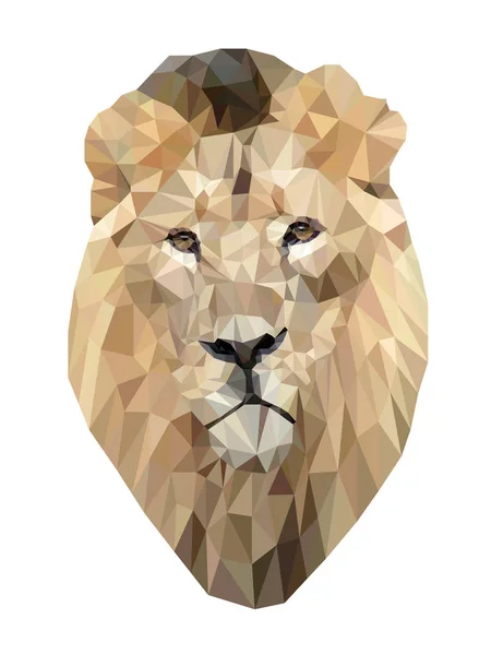 Illustration Vectorielle Poly Lion Bas Portrait Géométrique Polygonal Lion Triangles — Image vectorielle