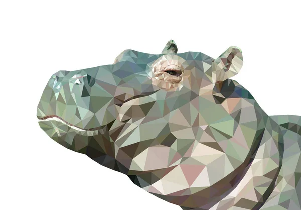 Vektör çizim düşük poli su aygırı. Geometrik poligonal hippo portre. Su aygırı üçgenler düşük poli vektör.