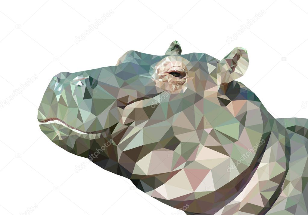 Vector illustration of low poly hippo. Geometric polygonal hippo portrait. Hippo triangles low poly vector.