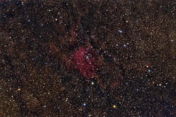 Bir Teleskop Bilimsel Bir Ccd Kamera Ile Görüntülü Tilkicik Takımyıldızı — Stok fotoğraf