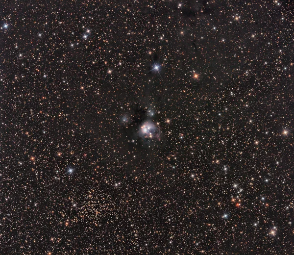 用望远镜和科学 Ccd 摄像机成像的仙人掌星座的 Ngc 7129 反射星云 — 图库照片