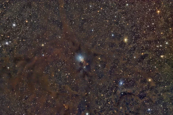 Reflection Nebula Ngc 1333 — Stock Photo, Image