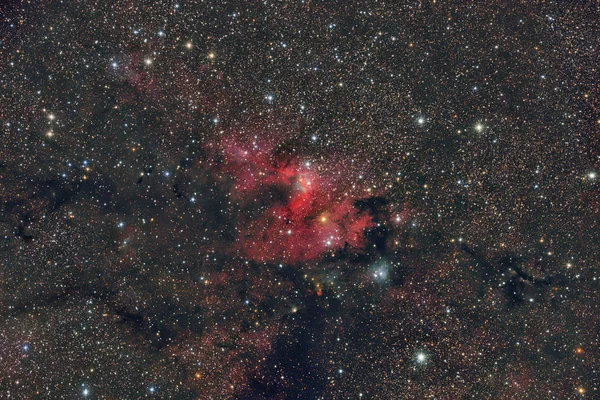 Nebulosa Emissões Sh2 155 — Fotografia de Stock