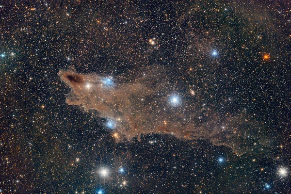 Nebulosa Tiburón Oscuro Ldn1235 —  Fotos de Stock