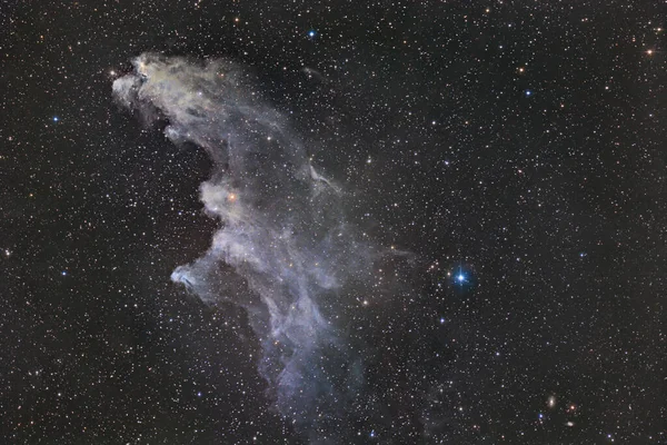 Witch Head Nebula Ic2118 — Stock Photo, Image