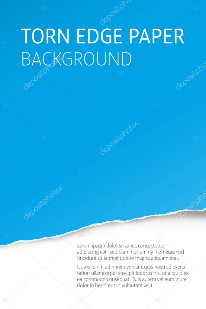 Torn edge paper vector background