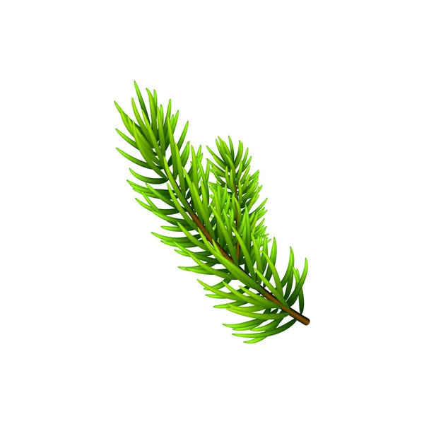 Vectorillustratie Christmas Tree Branch Geïsoleerd Wit Naaldboom Fir Tak Kan — Stockvector