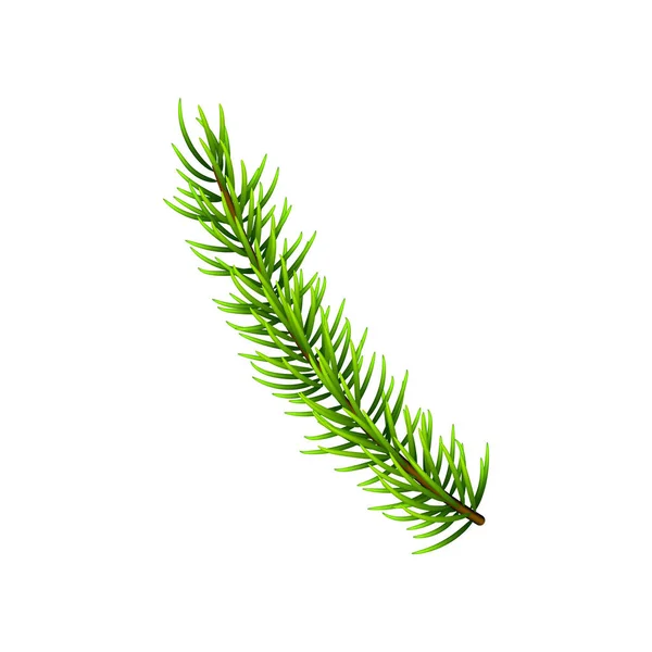 Vectorillustratie Christmas Tree Branch Geïsoleerd Wit Naaldboom Fir Tak Kan — Stockvector