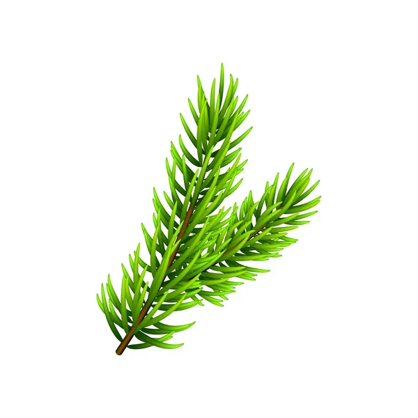 Vectorillustratie Christmas Tree Branch Geïsoleerd Wit Naaldboom Fir Tak Kan — Stockvector