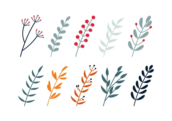 Vector Illustratie Van Een Set Van Bloemen Planten Takken Kerst — Stockvector