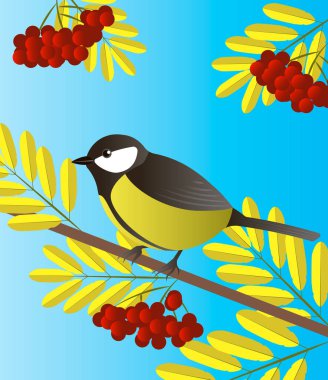 Tomtit ve rowan dalları vektör çizim izole mavi bir arka plan üzerinde