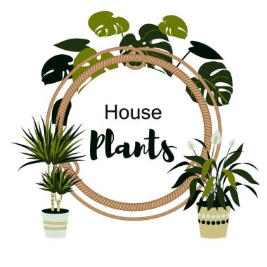 House Tasarım ip çerçeve ile bitkiler. Vektör çizim. Çiçek etiket. 