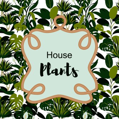 House Tasarım ip çerçeve ile bitkiler. Vektör çizim. Çiçek etiket. 