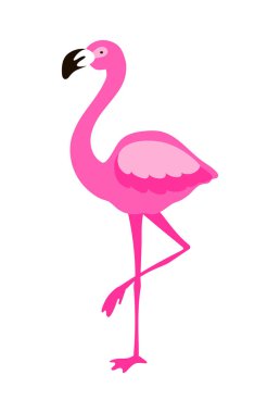 Beyaz üzerinde izole bir bacak üzerinde duran Pembe Flamingo. Vektör Illu