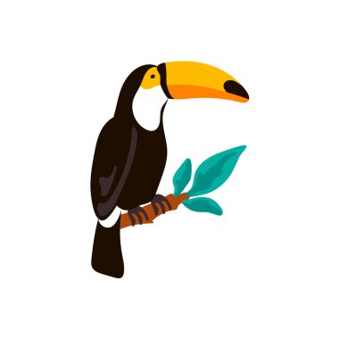 Dalı üzerinde oturan el çizilmiş toucan. Vektör çizimi