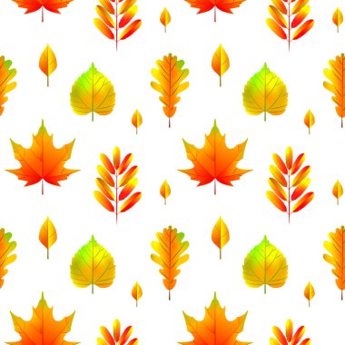 Sonbahar, beyazda izole edilmiş, kusursuz bir desen bırakır. Vektör illüstrasyonu