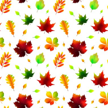 Sonbahar, beyazda izole edilmiş, kusursuz bir desen bırakır. Vektör illüstrasyonu