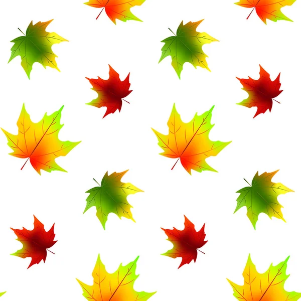 El otoño deja un patrón sin costuras aislado en blanco. Ilustración vectorial — Archivo Imágenes Vectoriales