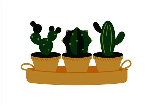 Vector illustratie van ingegoten cactussen geïsoleerd op wit. Home p — Stockvector