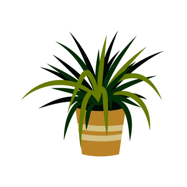 Ilustração vetorial de uma planta caseira em vaso isolada sobre branco. Planta em casa numa panela. Elemento de design interior . — Vetor de Stock