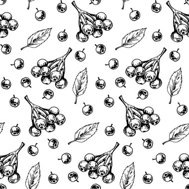 Rowan yaprakları ve çilek izole ile Botanik dikişsiz desen