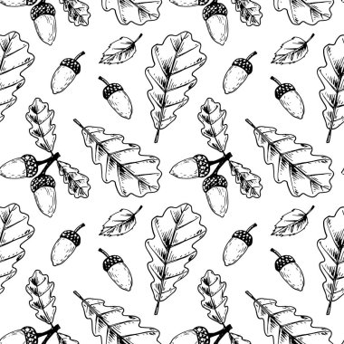 Meşe yaprakları ve meşe palamudu izole o ile Botanik dikişsiz desen