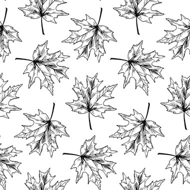Beyaz arka plan üzerinde akçaağaç ile Botanik dikişsiz desen. Autum