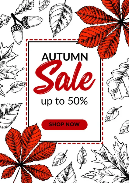 Banner de venta de otoño dibujado a mano con hermosas hojas. Vertical au — Vector de stock