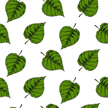 Yeşil taze yapraklı, pürüzsüz bir el çizimi. Robot resim seçimi