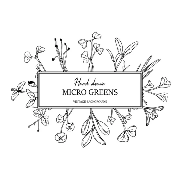 手描きのマイクログリーン植物の正方形のフレーム 会社のロゴ パッケージのための健康的なベジタリアンやビーガンフードデザイン 下絵風のベクターイラスト — ストックベクタ