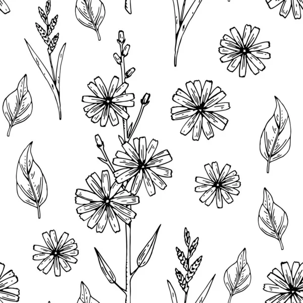 手描きの牧草地の花とシームレスなパターンチコリ 花のベクトル図のスケッチスタイル — ストックベクタ