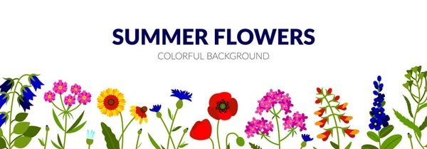 Banner Verão Horizontal Com Flores Silvestres Incluindo Flor Sino Yarrow — Vetor de Stock