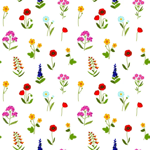 Wiesenwildblumen Bunte Nahtlose Muster Sommerdesign Mit Kamille Schafgarbe Lavendel Schnappdrachen — Stockvektor