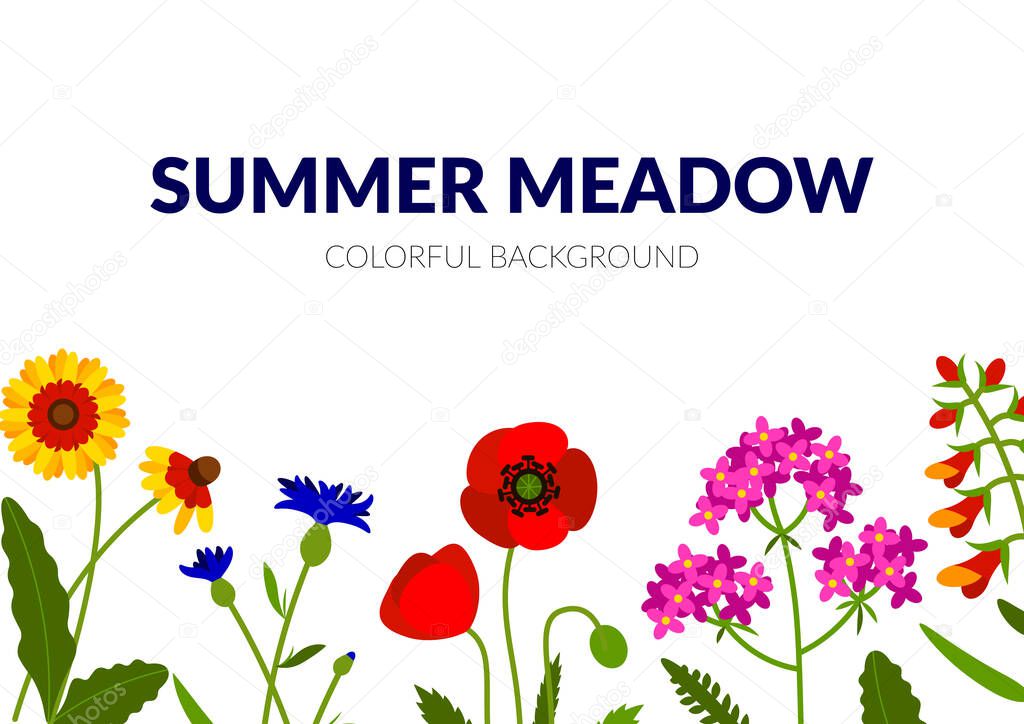 Horizontal summer banner with wildflowers, including yarrow, Echinacea, cornflower, poppy, snapdragon. Vector illustration