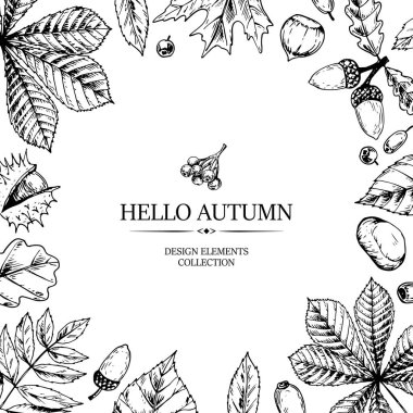 Düşen yapraklar, meşe palamudu ve böğürtlenlerle el çizimi kare sonbahar afişi. Beyaz üzerine izole edilmiş taslak biçiminde vektör illüstrasyonu. Gerçekçi botanik çerçeve. Metin için boşluk